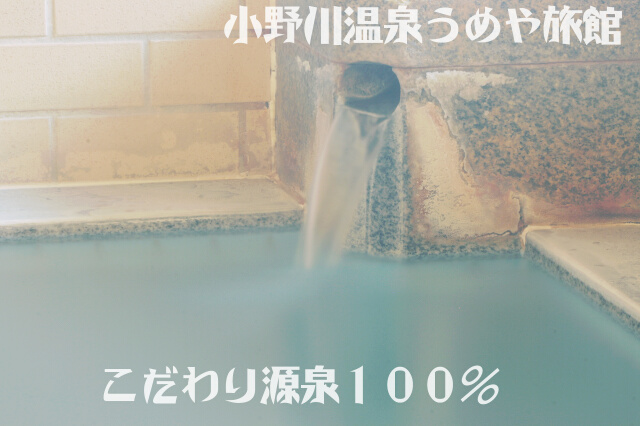 山形県米沢市 小野川温泉 天然温泉 加温加水なし 源泉100%かけ流し うめや旅館