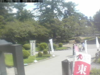 現在の上杉神社ライブカメラ映像